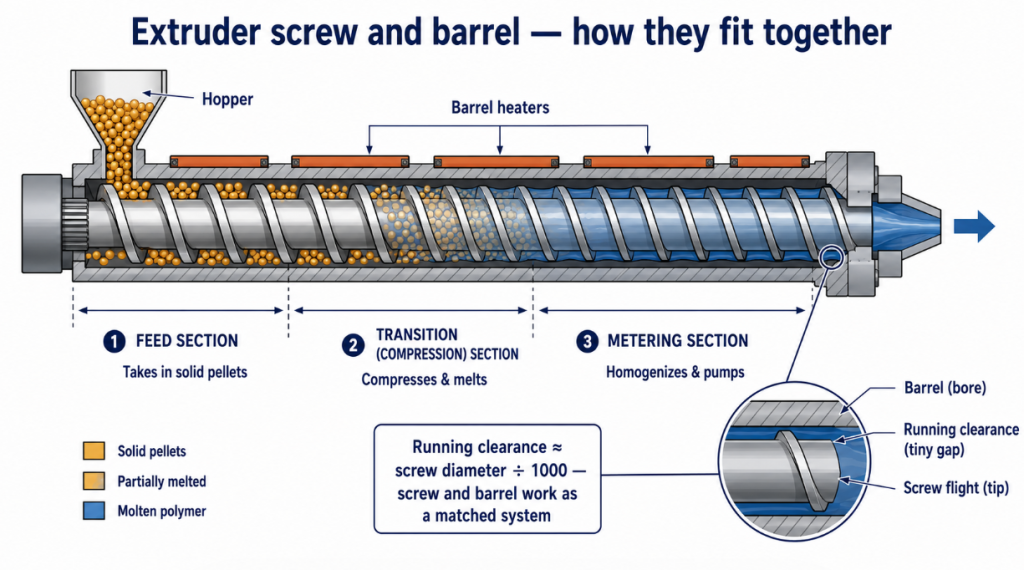 Anatomy of an extruder screw and barrel: feed, transition, and
metering sections inside the heated barrel, with the tiny running
clearance that makes them a matched system.