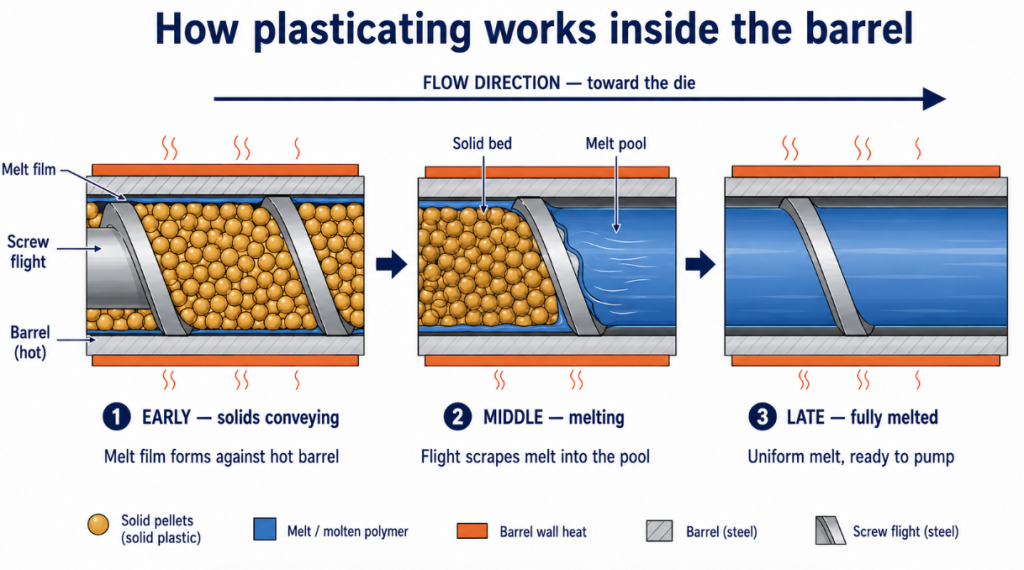 Plasticating inside the extruder barrel: a melt film forms against
the hot barrel wall, the flight scrapes it into a growing melt pool
beside the solid bed, until the channel holds uniform melt.