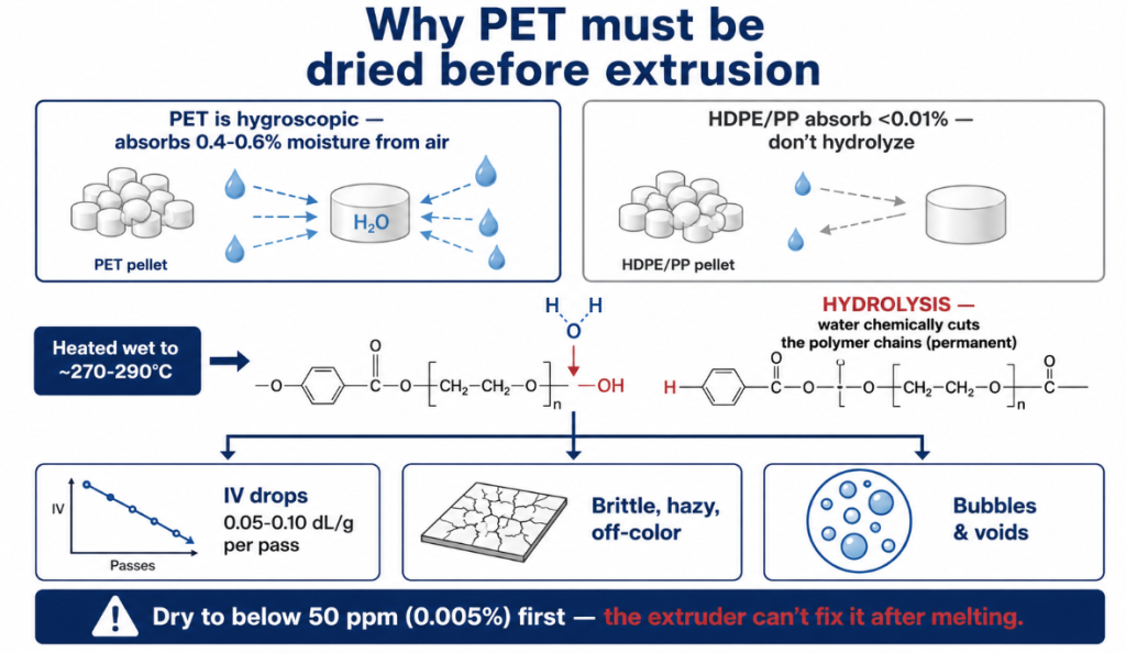 Why PET must be dried before extrusion: PET absorbs 0.4-0.6% moisture, and when melted wet the water hydrolyzes and permanently cuts the polymer chains, dropping IV and causing brittleness, haze, and bubbles — so dry below 50 ppm first.