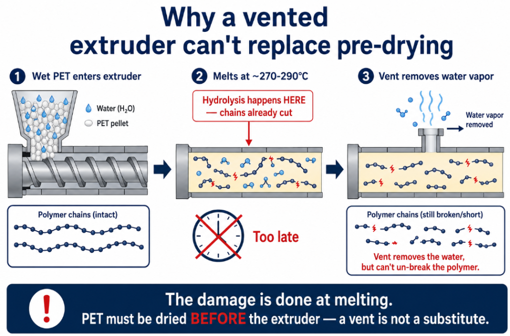Why a vented extruder can't replace pre-drying PET: hydrolysis cuts 
the polymer chains the moment wet PET melts, and although the vent 
removes the water vapor, it cannot reverse the broken chains — so PET 
must be dried before extrusion.