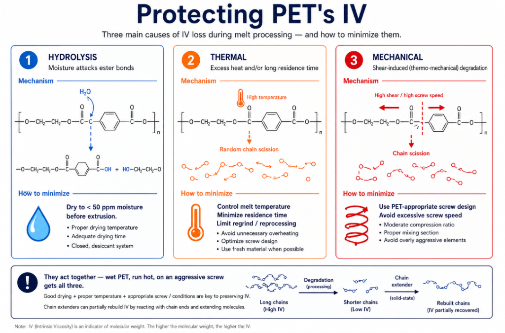 Protecting PET's IV against three causes: dry to below 50 ppm for hydrolysis, control melt temperature and residence time for thermal degradation, and use a PET-appropriate screw avoiding excess speed for shear — with chain extenders to partially rebuild IV.