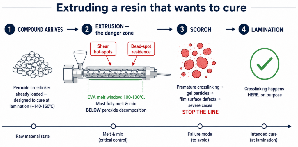 Encapsulant resin carries its peroxide crosslinker into the extruder — overheating or dead-spot residence triggers scorch and gel defects
